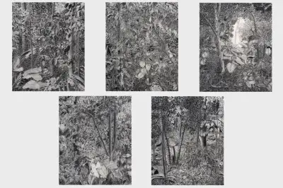 Tomás Bermúdez presenta 'La distancia necesaria': una serie de carboncillo sobre bosques