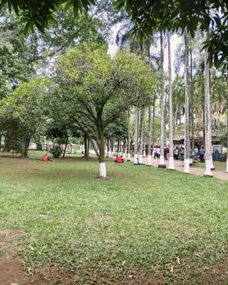 Tragedia en Cali: arco de fútbol cae sobre niño de 9 años y muere