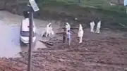 11 menores entre 48 cuerpos hallados en Guaviare tras combates