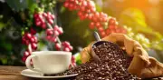 A menos de tres semanas, sigue en vilo el futuro del Fondo Nacional del Café