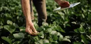 Agro colombiano cae 1,4% en 2026 por clima y costos altos