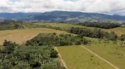 Alianza colombo-alemana mejora ingresos de productores con sostenibilidad