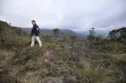 Aprobada ley que crea carrera administrativa para guardaparques en Colombia