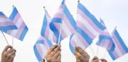 Así deben tratar los jurados de votación a personas trans en elecciones