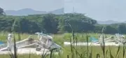 Avioneta se parte en dos y se incendia al aterrizar en aeropuerto de Cartago, Valle