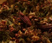 Cacao colombiano brilla en experiencia gastronómica de lujo en el Caribe