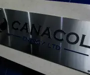 Canacol sin liquidez si no llega comprador o más crédito DIP