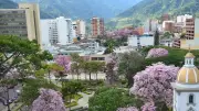 Cancelan Ibagué Festival 2026 por falta de recursos económicos