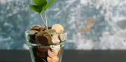CDT digital de Lulo Bank: desde $100.000 y hasta 13% EA en lanzamiento