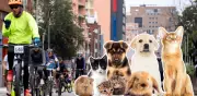 Ciclovía de Bogotá: estaciones 'pit stop' para mascotas hasta 2026
