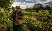 Clementina Barajas: la historia de la abuela que creó una huerta agroecológica sin químicos