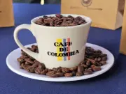 Cómo procesar café de tu mata en casa: guía completa