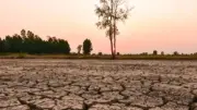 Confirmado: El Niño récord amenaza Colombia con sequía e incendios