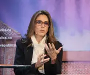 Consejo Gremial: transición energética no debe comprometer confiabilidad