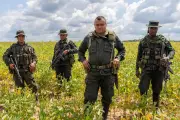Crisis en paz total: los hechos violentos que vinculan a Calarcá y al EMBF