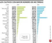 Cultivos de coca en Colombia alcanzan récord de 261.000 hectáreas en 2024