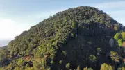 Declaran nueva reserva ambiental en la Sierra Nevada de Santa Marta