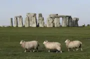 Descubren estructura más antigua que Stonehenge en Inglaterra