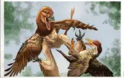 Descubren nueva especie de dinosaurio 'pariente' del velociraptor en China