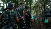 Disidencias de 'Calarcá' y 'Mordisco' amenazan elecciones en Caquetá