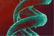 Editan ADN de embriones humanos con precisión sin precedentes