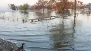 El lago fantasma que desaparece y reaparece: el misterio de los peces