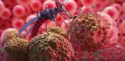 El Niño podría agravar el dengue en Colombia con más de 50.000 casos en 2026