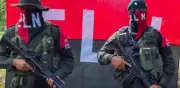 Eln anuncia cese al fuego unilateral durante segunda vuelta presidencial