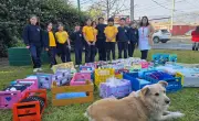 Estudiantes chilenos fabrican camas para perros y gatos callejeros