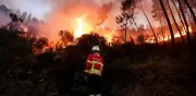 Europa vivió en 2025 su año más extremo: calor récord, glaciares en retroceso e incendios históricos
