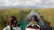Everglades: el humedal más grande de Norteamérica y su imperdible tour en hidrodeslizador