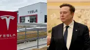 Exempleados de Tesla dudan de la seguridad de los robotaxis de Musk