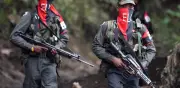 Falso: ELN no respalda a Iván Cepeda ni amenaza elecciones