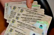 Fasecolda pide eliminar seguro obligatorio para licencias de conducción