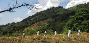 Gobierno declara reserva permanente en la Sierra Nevada de Santa Marta