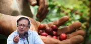 Gobierno Petro explora entregar Fondo del Café a cooperativas y asociaciones