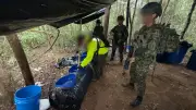 Golpe al ELN: destruyen laboratorio de cocaína valuado en más de $4.188 millones
