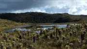 Guardianes del Páramo: 190 ciudadanos se capacitan para proteger el agua en Colombia