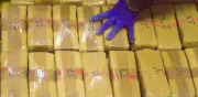 IA en puertos colombianos para frenar contaminación de carga en exportaciones