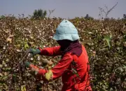 Inflación en Colombia sube por Fenómeno de El Niño: impacto en alimentos