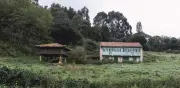 Informalidad en tierra rural: 52,2% sin seguridad jurídica en Colombia