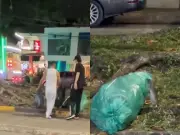 Intervención sanitaria en el sur de Cali por presencia de ratas en zona gastronómica