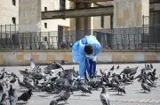 Jornada de bienestar para palomas en la Plaza de Bolívar de Bogotá