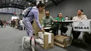 Jornada electoral en Colombia transcurre con normalidad pese a lluvias