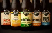 Kombucha: qué es, para qué sirve, propiedades y cuidados al tomarla