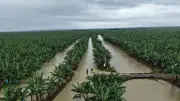 Lluvias en Antioquia: inundaciones en Andes y Turbo afectan viviendas y cultivos