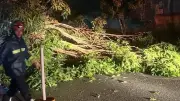 Lluvias torrenciales causan emergencias en Bucaramanga, Floridablanca y Girón