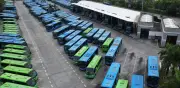 MIO: 340 buses nuevos para reducir esperas y mejorar movilidad en Cali