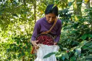 Mujeres campesinas: pobreza y desigualdad persisten en el campo colombiano