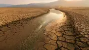 ONU advierte sobre El Niño: posibles fechas y efectos globales